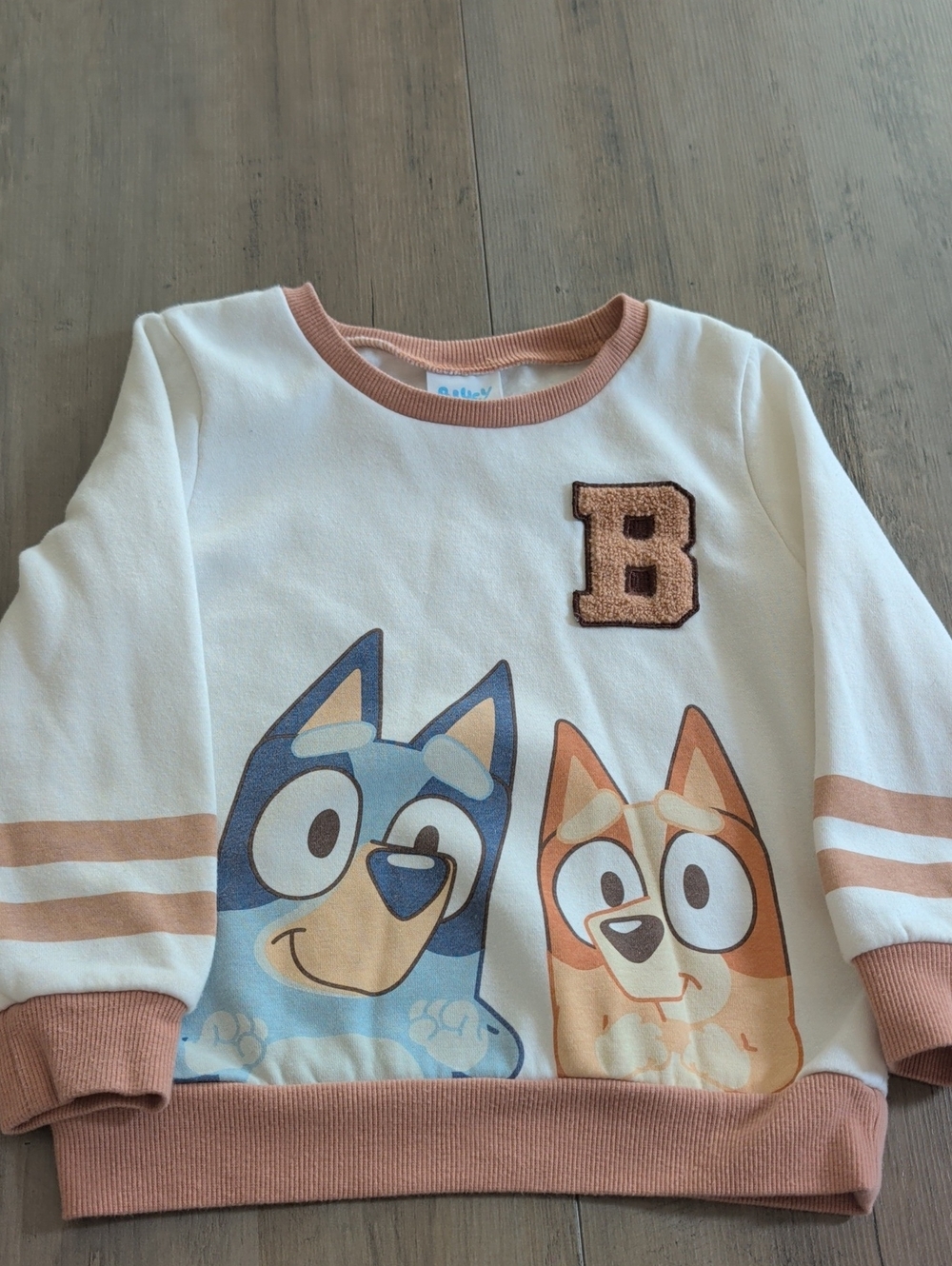 Bluey Sweatshirt - 5T (unisex) - Bingo & Bluey